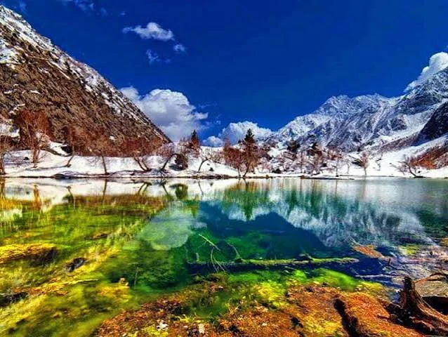 Naltar Valley coloured lakes pine forest