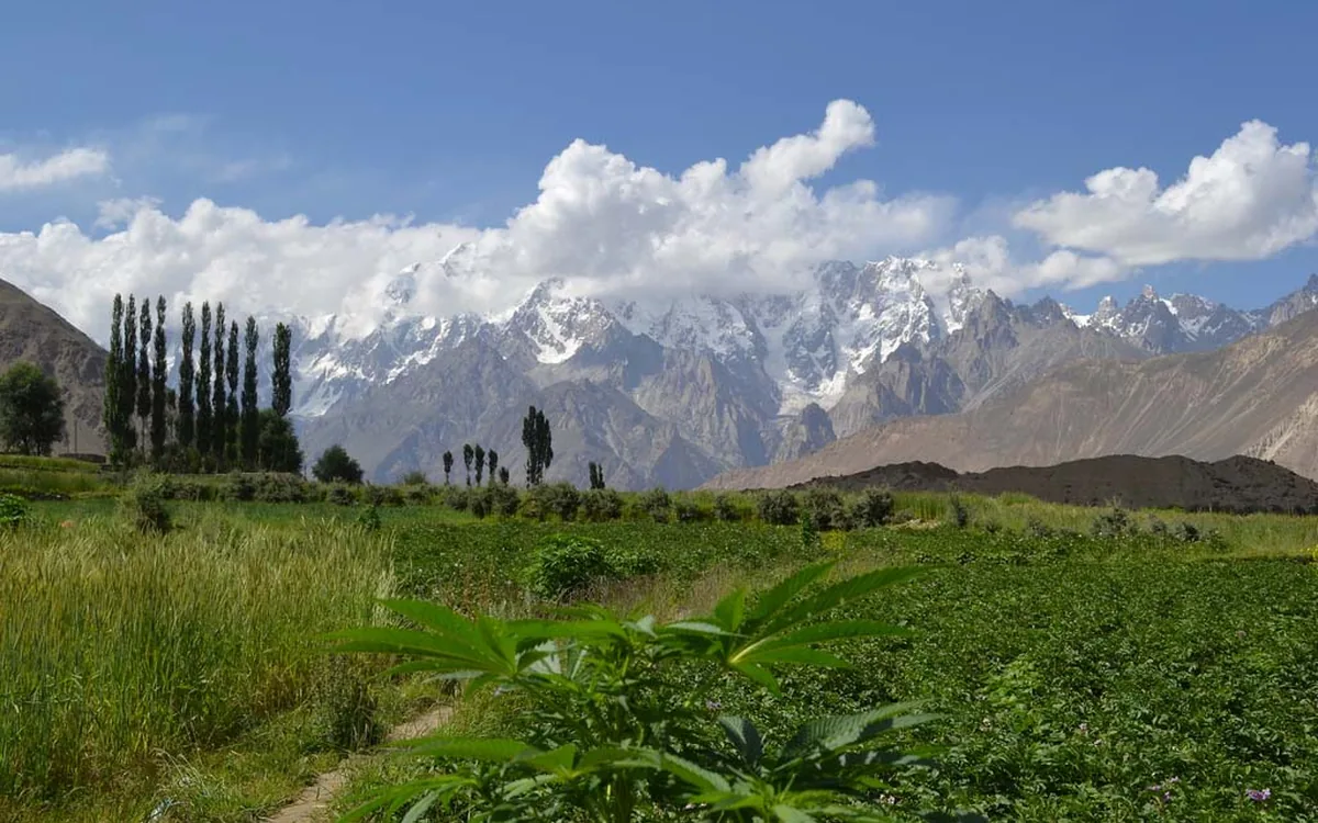 Nagar Valley Guide — Hunza’s Quieter Twin