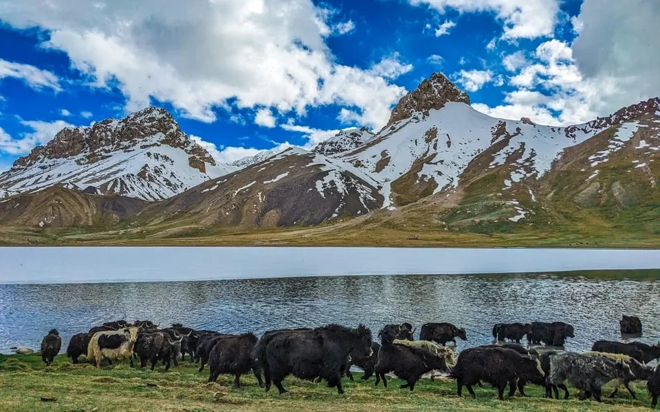 Shimshal Valley Expedition — 8 Days