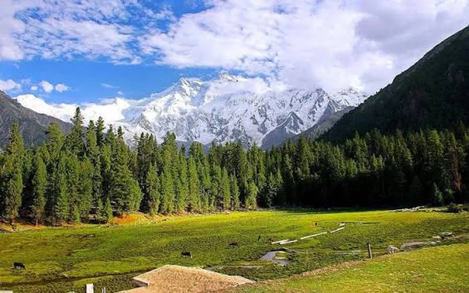 Hunza Valley & Fairy Meadows Tour — 10 Days