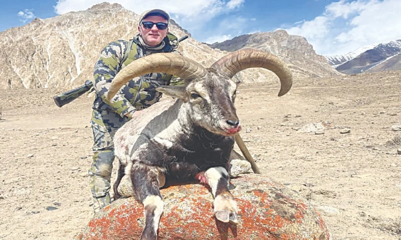Trophy Hunting Tour — Himalayan Ibex (Official Permit)