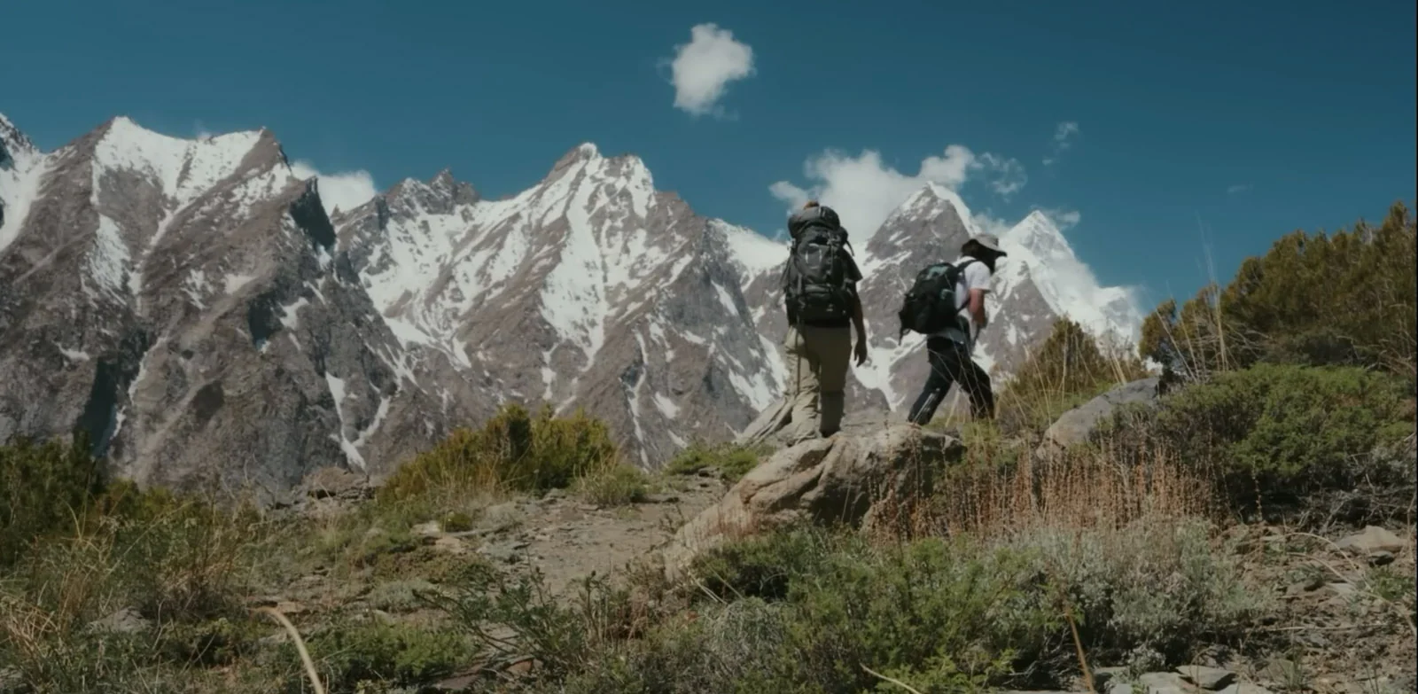Ultar Meadow Trek Karimabad Hunza
