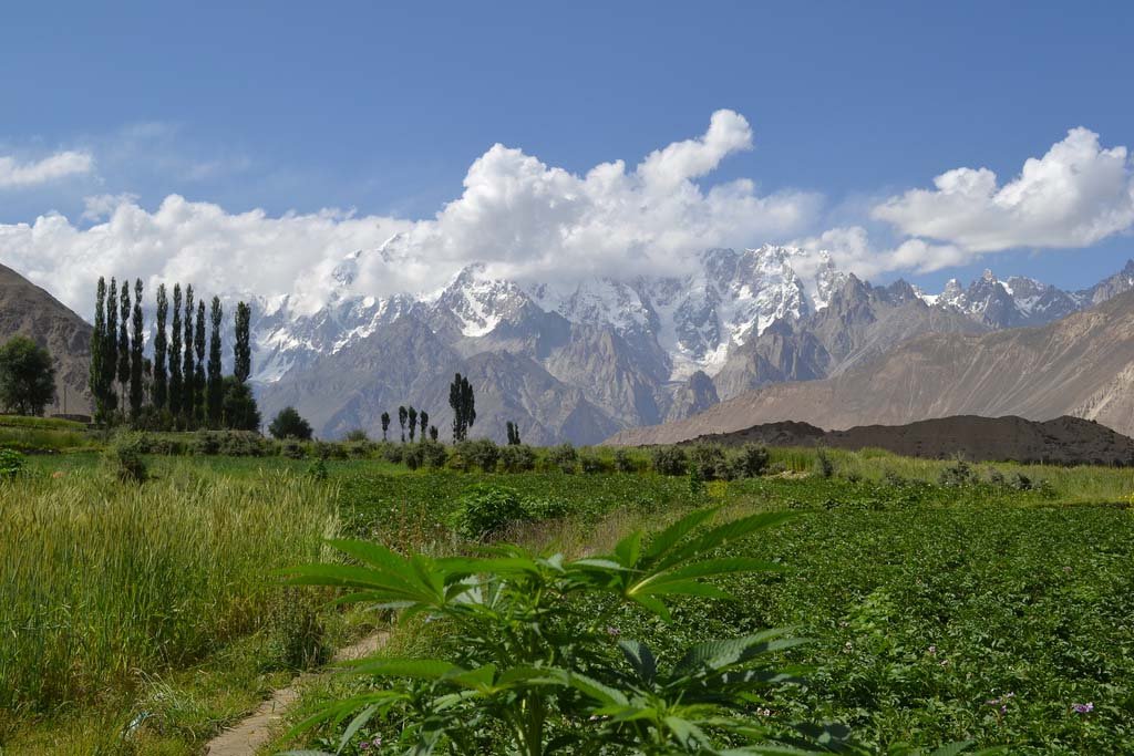 Nagar Valley Travel Guide — Rakaposhi, Hopper & Minapin