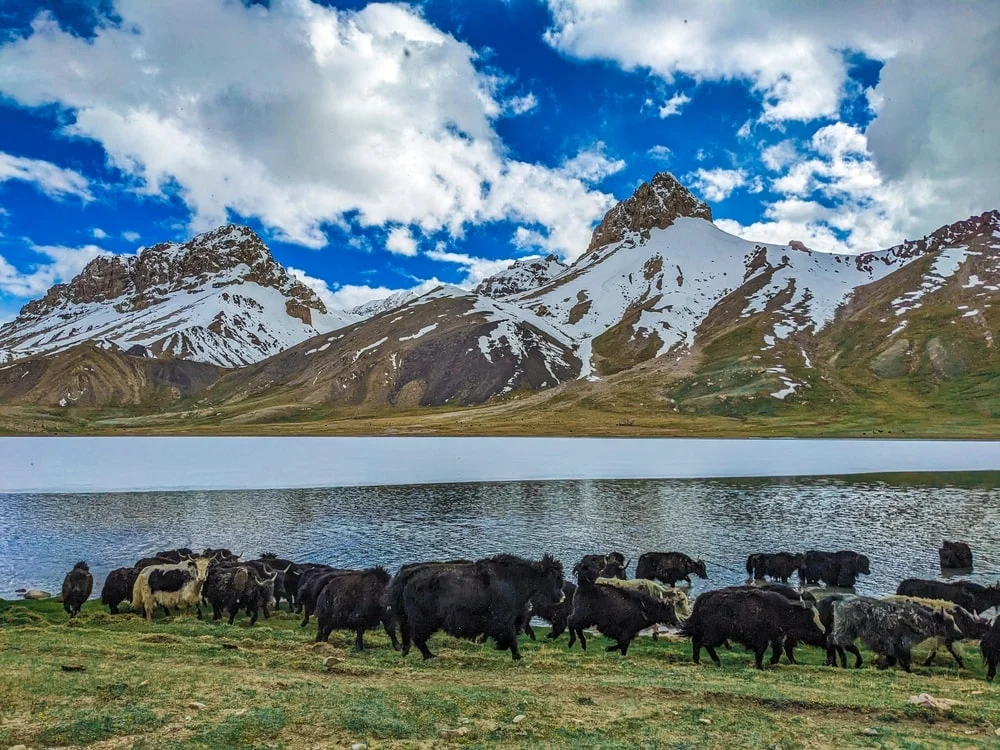 Shimshal Valley Travel Guide — Treks, Village Life & Access