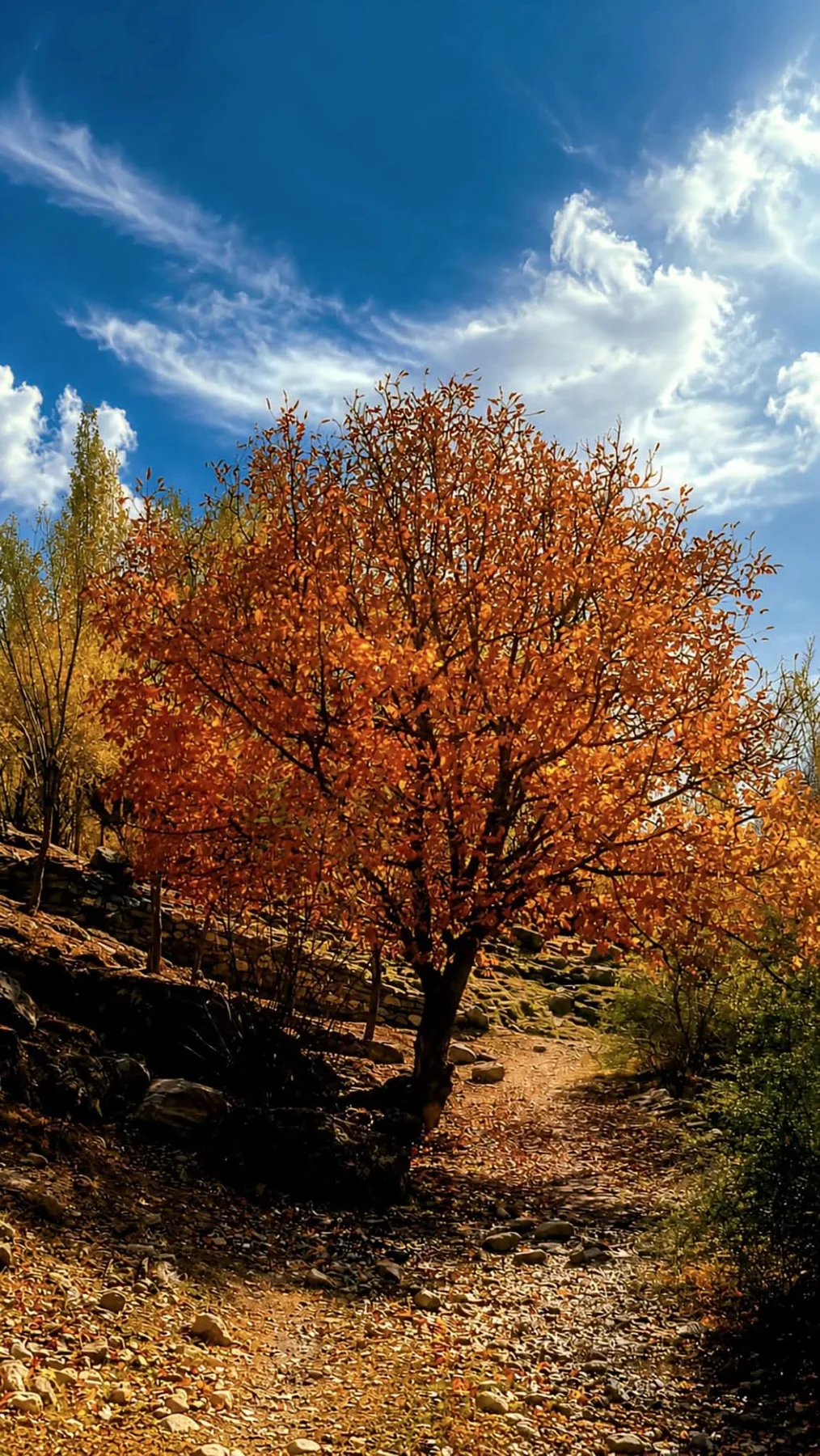 7-Day Hunza Explorer — Hunza tour for foreigners
