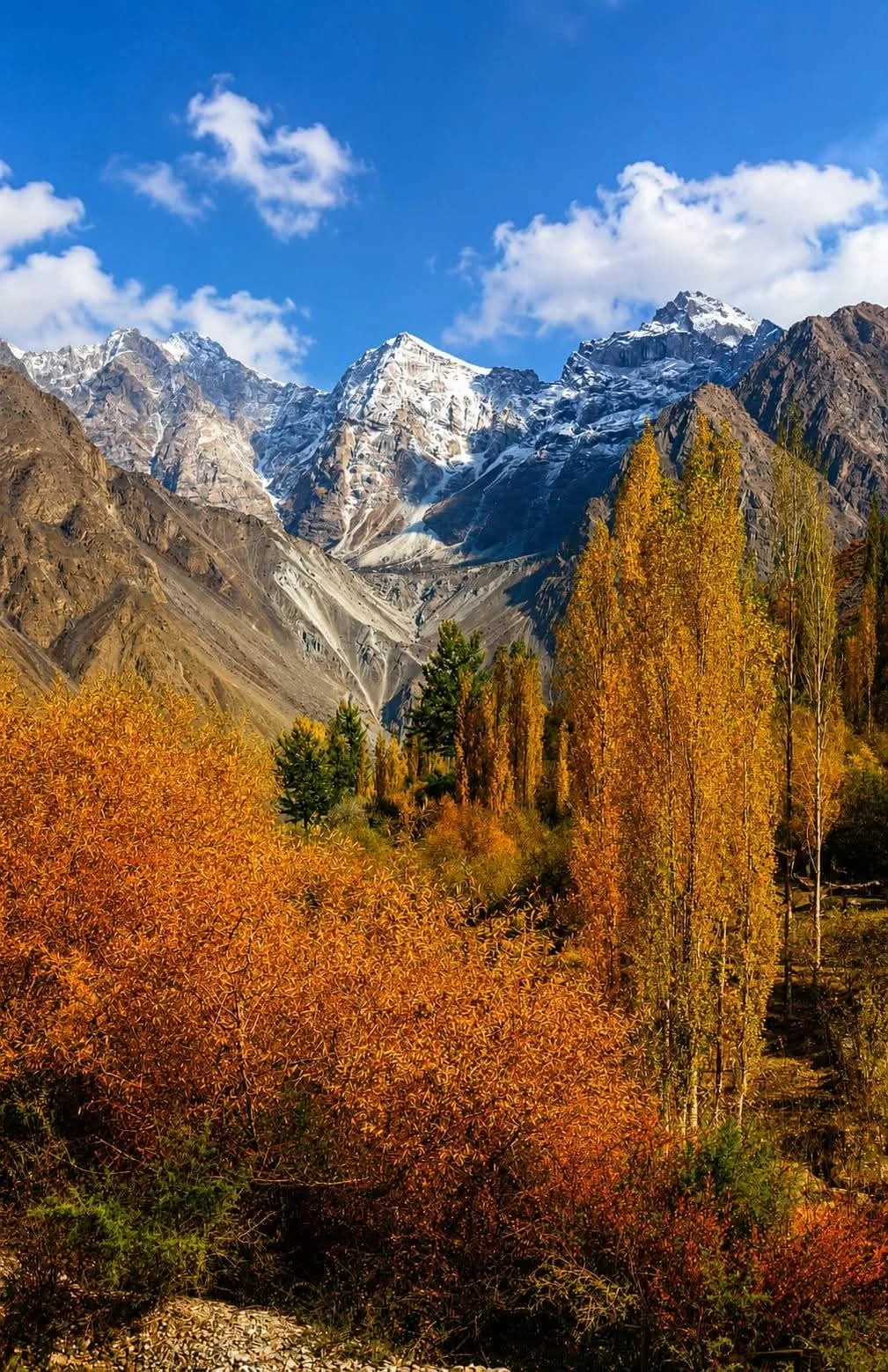 7-Day Luxury Hunza — Hunza tour for foreigners
