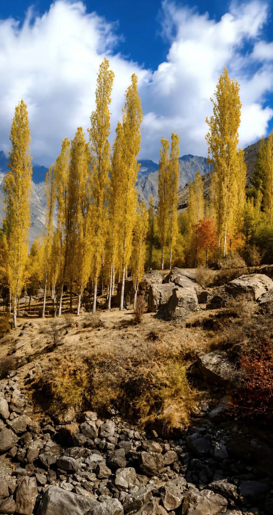 Autumn Hunza Tour Package seasonal Hunza tour