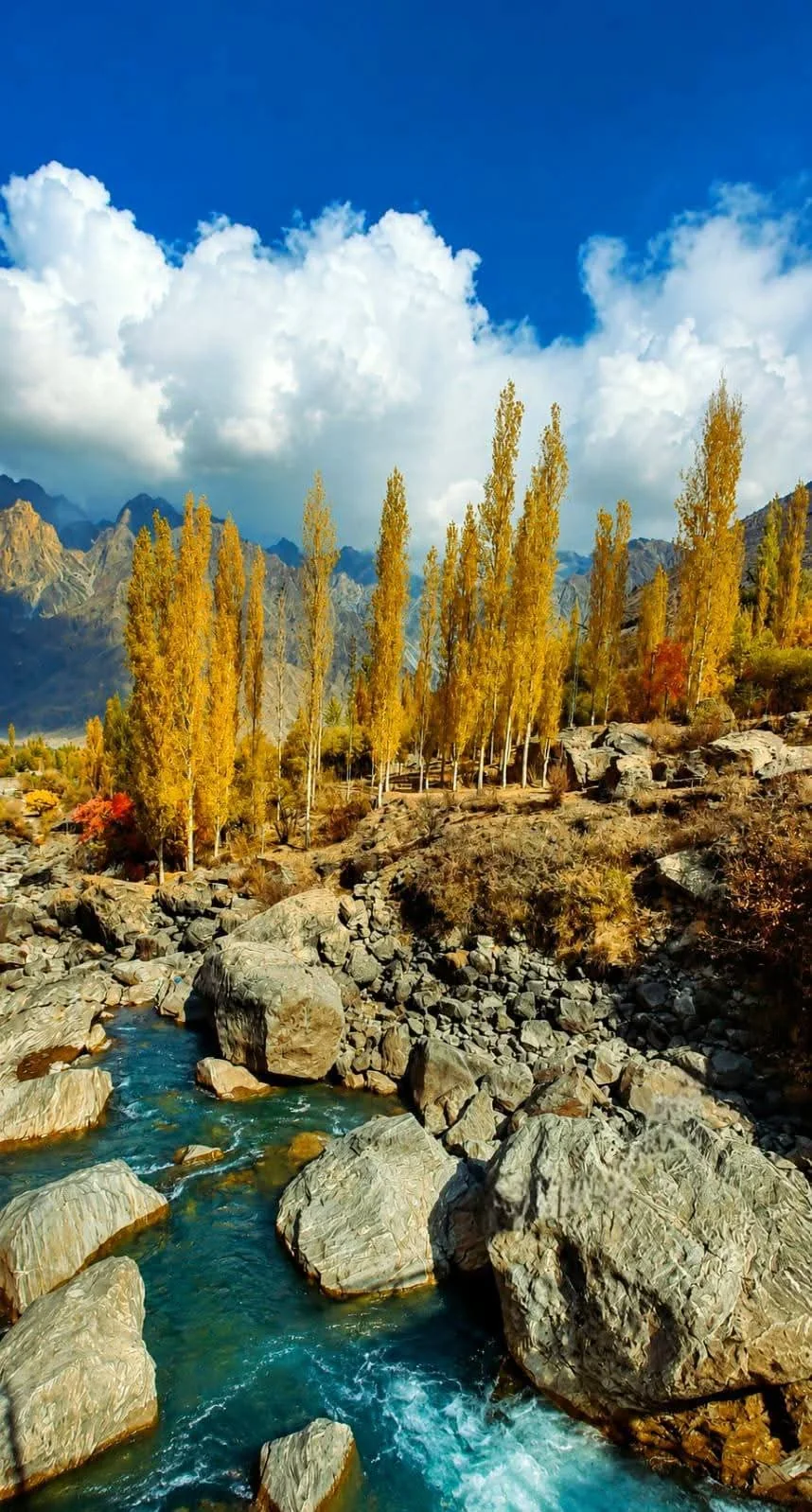 Summer Hunza Tour Package seasonal Hunza tour