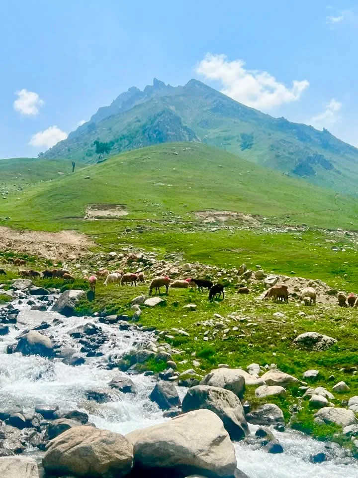Discover Pakistan Tour — 20 Days
